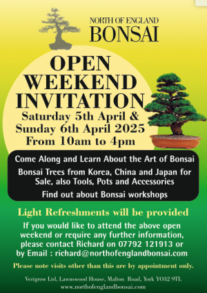 Screen Shot 2025-03-06 at 14.50.21