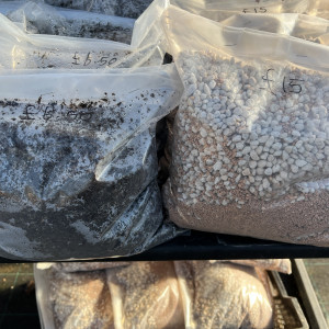 North of England Compost - Molar and Pumice £15