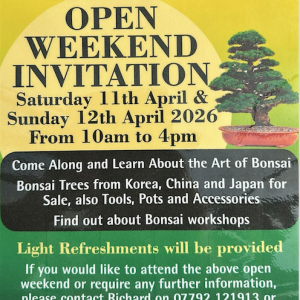 Screen Shot 2026-03-30 at 10.09.30