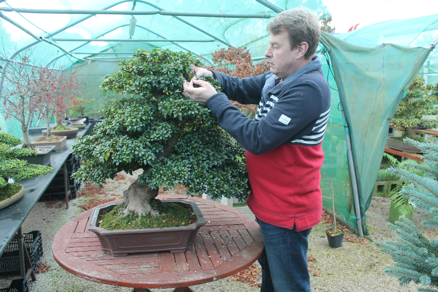 Screen Shot 2021-11-16 at 13.21.02